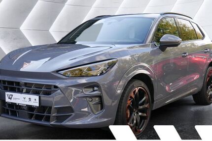 Cupra Terramar 34.009 km 42.993 &euro; Gelnhausen 63571