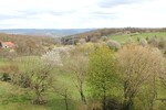 Johannesberg bei Aschaffenburg (Südhang): 2 ZKB mit Balkon zu vermieten - Dachgeschoßwohnung Johannesberg | Angebot:27079425