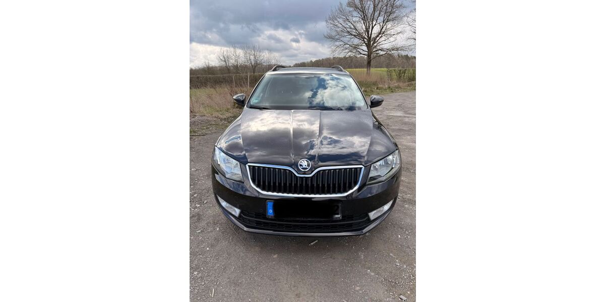 Skoda Octavia 87.000 km 14.499 &euro; Lützelbach 64750