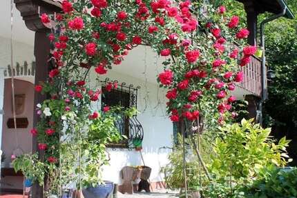 Haus Glattbach - 6 Zimmer, 216 m&sup2;, 575.000&euro; | Angebot:13783455