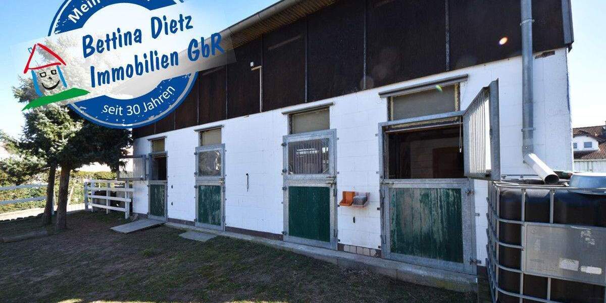 Einfamilienhaus Babenhausen - 5 Zimmer, 669.000&euro; | Angebot:25820431