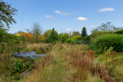 Grundstück Münster (Altheim) - 320.000&euro; | Angebot:24477621