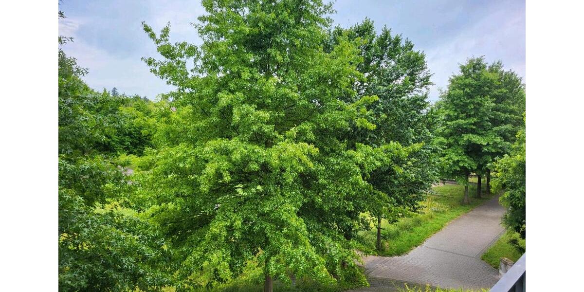 Etagenwohnung Aschaffenburg Gailbach - 4 Zimmer, 97 m&sup2;, 1.650&euro; | Angebot:25305054