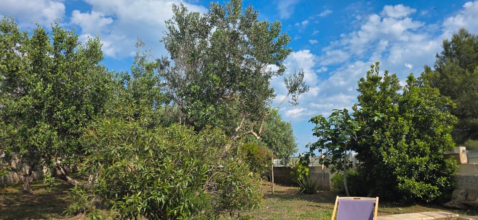 Einfamilienhaus Klingenberg am Main - 2 Zimmer, 65 m&sup2;, 130.000&euro; | Angebot:26270541