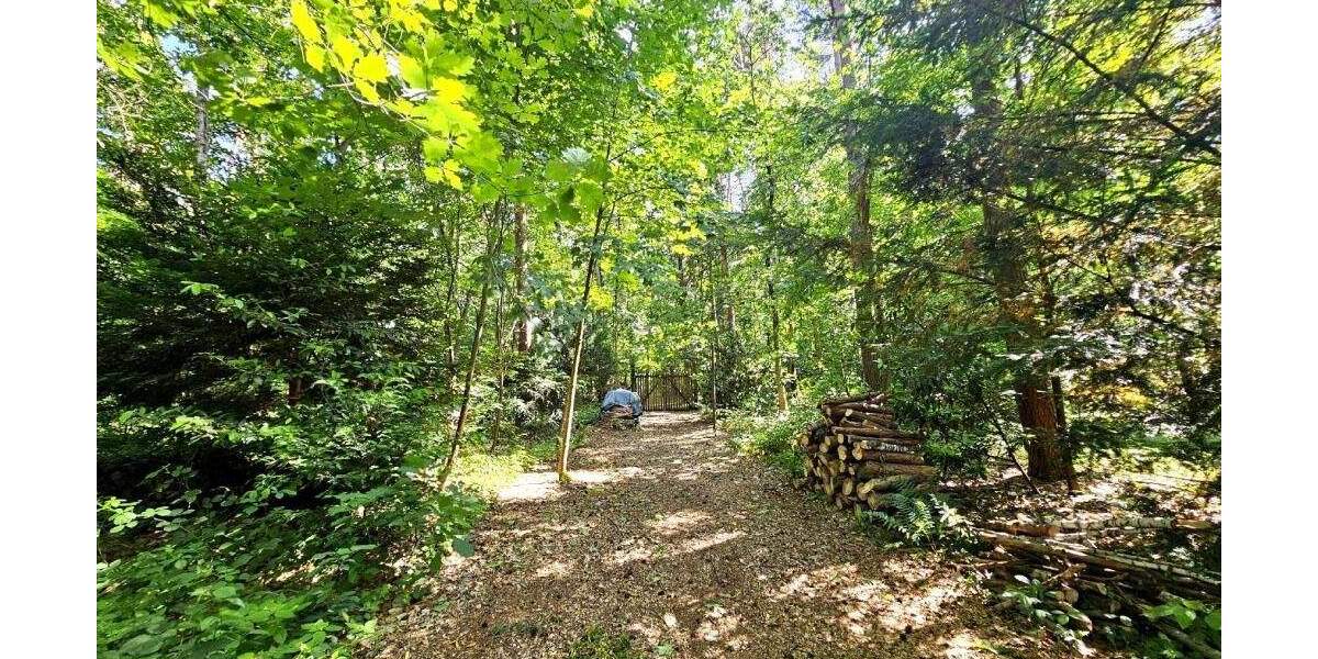 Bungalow Kleinostheim Waldstadt - 6 Zimmer, 204 m&sup2;, 940.000&euro; | Angebot:25725881