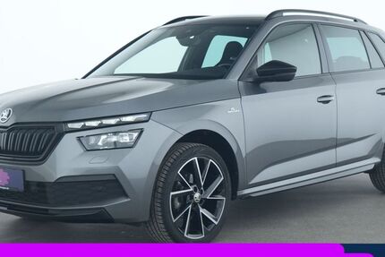 Skoda Kamiq 23.541 km 25.882 &euro; Dietzenbach bei Frankfurt 63128