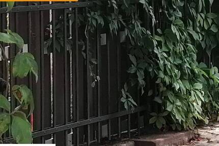 Gewerbeobjekt Collenberg Reistenhausen - 595.000&euro; | Angebot:25678042