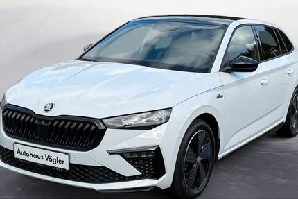 Skoda Scala 8.000 km 28.780 &euro; Bad König / Zell 64732