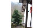 Mehrfamilienhaus, Wohnhaus Klingenberg am Main - 7 Zimmer, 230 m&sup2;, 598.000&euro; | Angebot:27067999