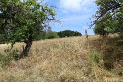 Grundstück Rothenbuch Rabenhausen - 193.750&euro; | Angebot:26191015