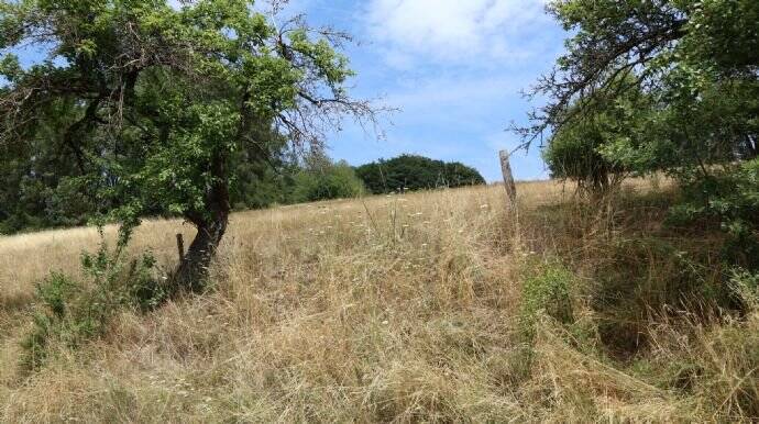 Grundstück Rothenbuch Rabenhausen - 193.750&euro; | Angebot:26191015