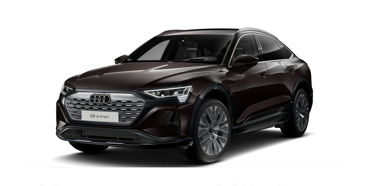 Audi Q8 e-tron 33.800 km 63.969 &euro; Hanau 63452