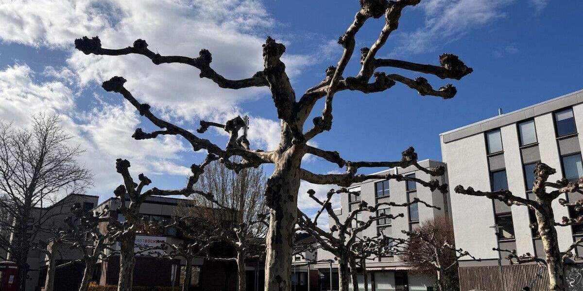 Etagenwohnung Rodgau Nieder-Roden - 4 Zimmer, 106 m&sup2;, 225.000&euro; | Angebot:25837712