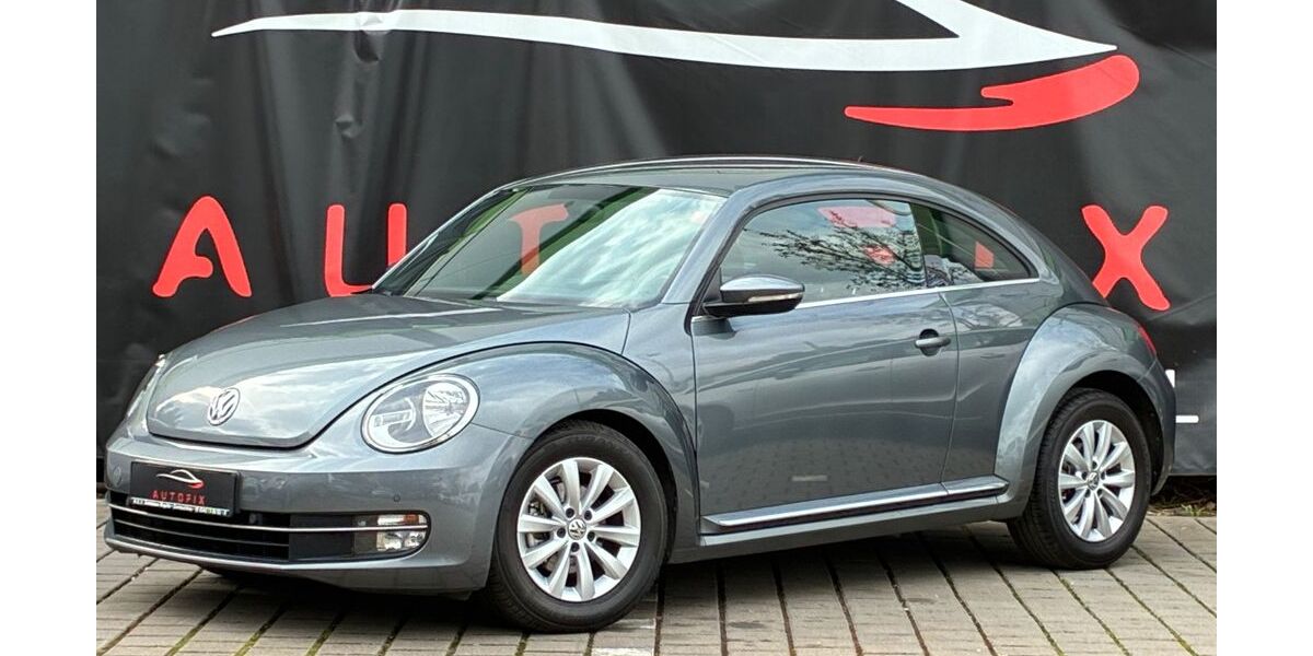 VW Beetle 140.000 km 7.300 &euro; Mühlheim am main 63165