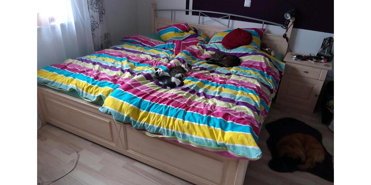 Einfamilienhaus Aschaffenburg Österreicher Kolonie - 7 Zimmer, 180 m&sup2;, 320.000&euro; | Angebot:25964686