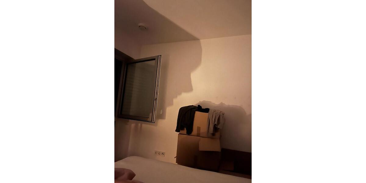 Etagenwohnung Hainburg - 1 Zimmer, 16 m&sup2;, 350&euro; | Angebot:25756775