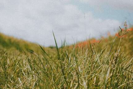 Grundstück Schaafheim - 250.000&euro; | Angebot:26357154