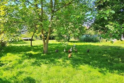 Grundstück Bad König - 127.000&euro; | Angebot:25689498