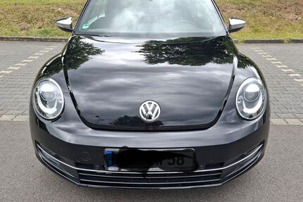 VW Beetle 50.100 km 16.400 &euro; Münster 64839