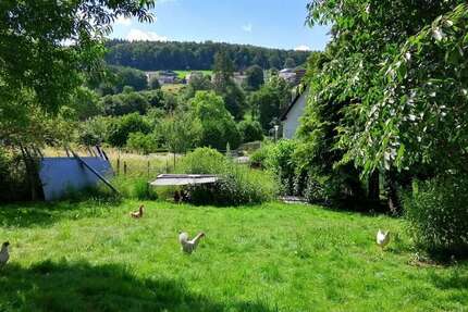 Grundstück Bad König - 127.000&euro; | Angebot:16466235