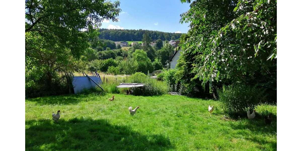 Grundstück Bad König - 127.000&euro; | Angebot:16466235