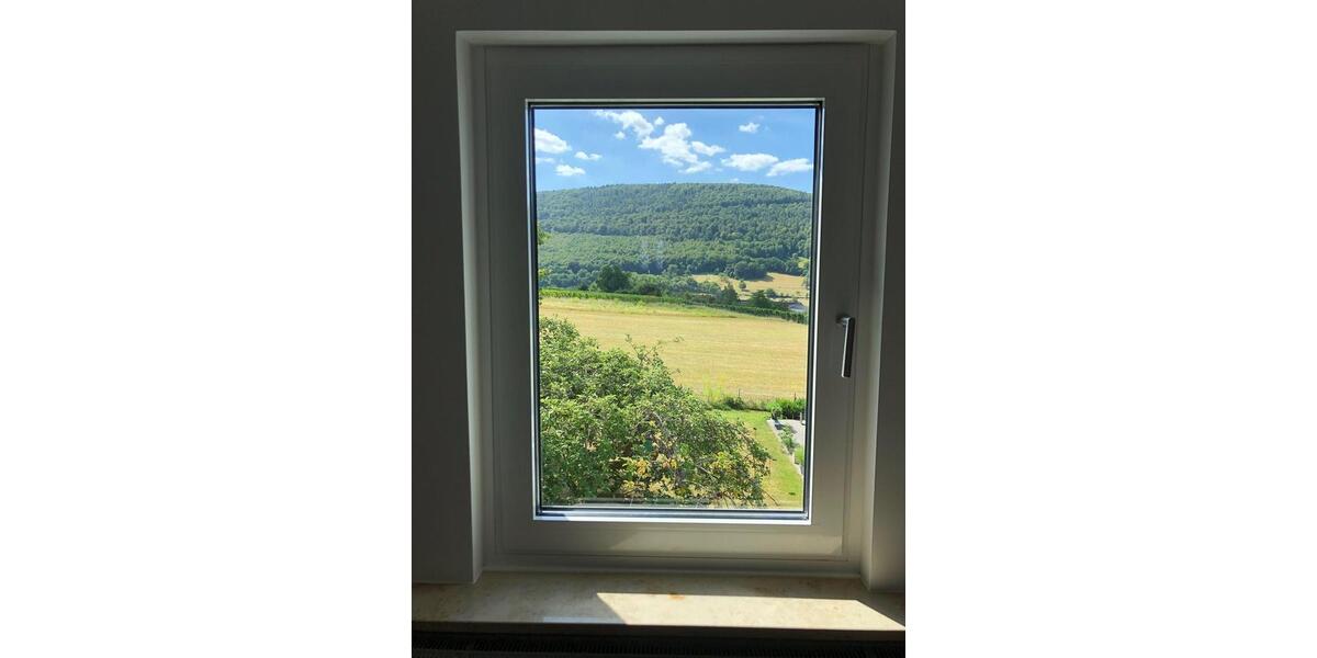 Einfamilienhaus Bürgstadt - 9 Zimmer, 300 m&sup2;, 2.950&euro; | Angebot:24940965