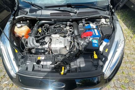 Ford Fiesta 109.500 km 5.200 &euro; Hanau 63450