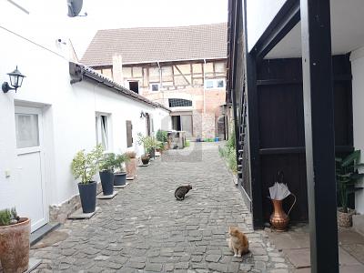 GRÖSSE AUF DEN ZWEITEN BLICK - Mehrfamilienhaus, Wohnhaus Großostheim | Angebot:26765735
