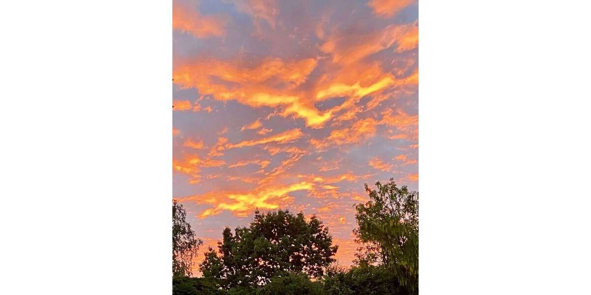 Einfamilienhaus Freigericht - 5 Zimmer, 119 m&sup2;, 279.000&euro; | Angebot:25149261