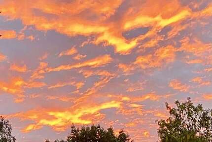 Haus Freigericht - 5 Zimmer, 119 m&sup2;, 279.000&euro; | Angebot:25149261