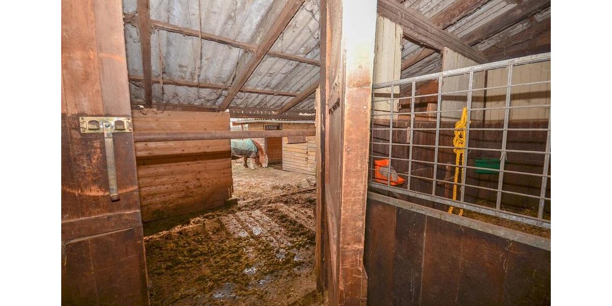 Gewerbeobjekt Seligenstadt - 1.300&euro; | Angebot:25431487