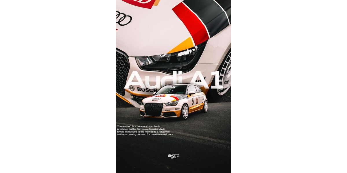 Audi A1 117.617 km 8.100 &euro; ALTENBUCH 97901