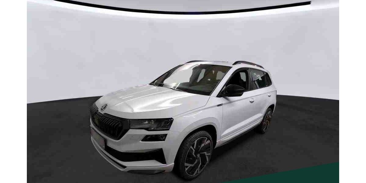 Skoda Karoq 37.900 km 29.999 &euro; Mühlheim 63165