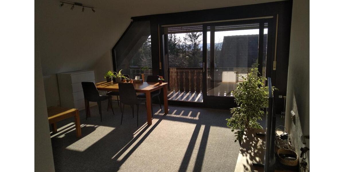 Dachgeschoßwohnung Sulzbach am Main - 2 Zimmer, 54 m&sup2;, 750&euro; | Angebot:25335998