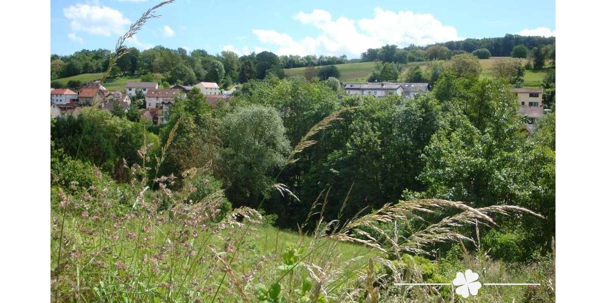 Grundstück Lützelbach / Seckmauern Seckmauern - 110.000&euro; | Angebot:22736800