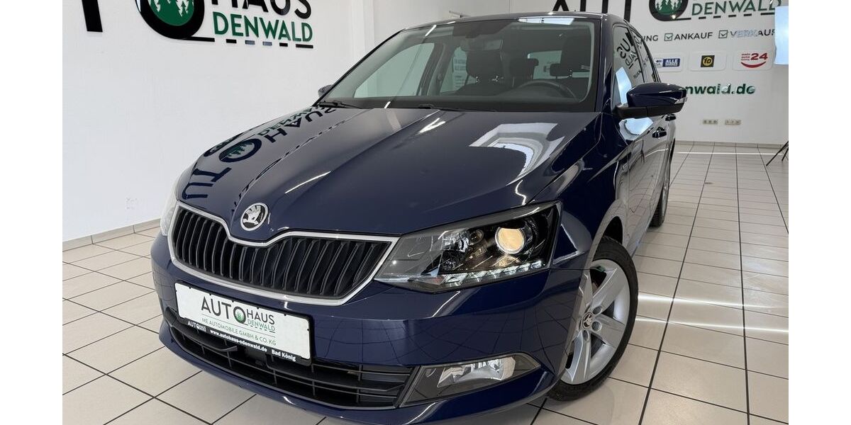 Skoda Fabia 127.000 km 11.900 &euro; Bad König 64732