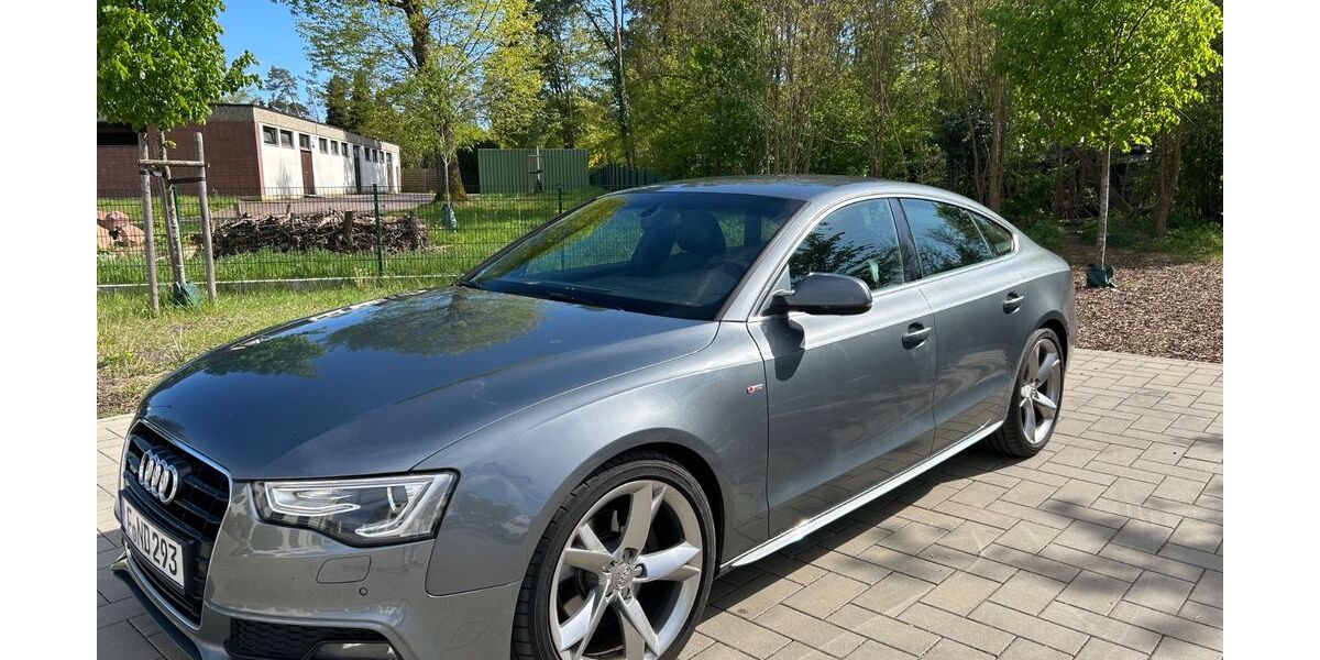 Audi A5 310.000 km 9.100 &euro; Kahl am Main 63796