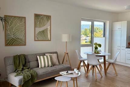 Wohnung Sailauf - 2 Zimmer, 53 m&sup2;, 1.200&euro; | Angebot:25975838