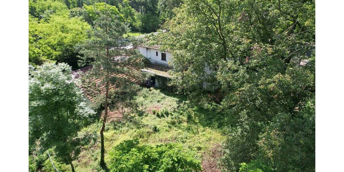 Gewerbeobjekt Babenhausen - 495.000&euro; | Angebot:25693330