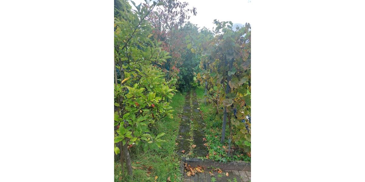 Mehrfamilienhaus, Wohnhaus Freudenberg - 7 Zimmer, 170 m&sup2;, 540.000&euro; | Angebot:26262395