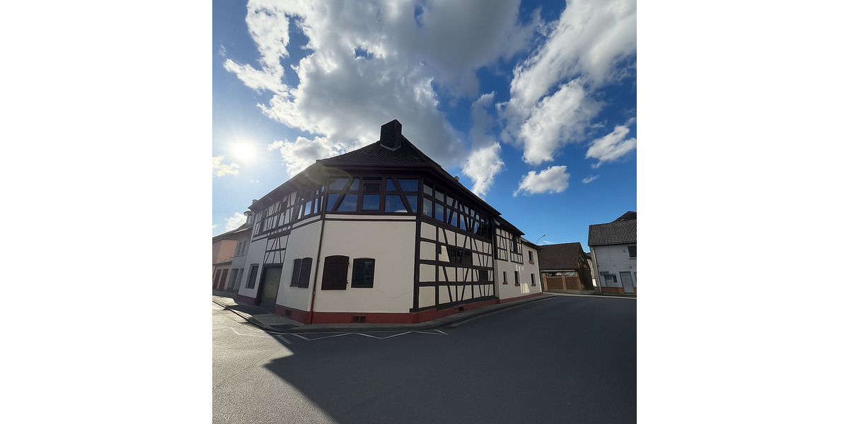 Mehrfamilienhaus, Wohnhaus Babenhausen Harreshausen - 1 Zimmer, 420 m&sup2;, 699.000&euro; | Angebot:25661011