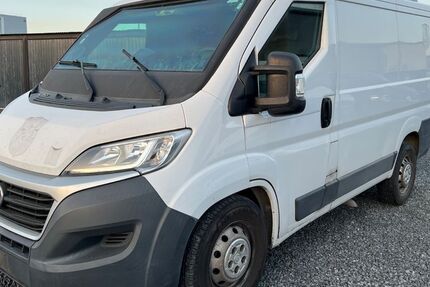 Fiat Ducato 250.000 km 17.500 &euro; Grosswallstadt 63868