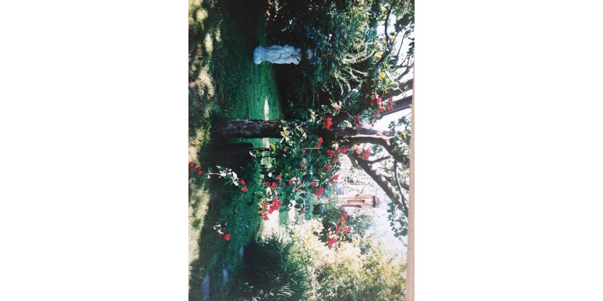 Maisonettenwohnung Freigericht - 7 Zimmer, 116 m&sup2;, 299.000&euro; | Angebot:25933265