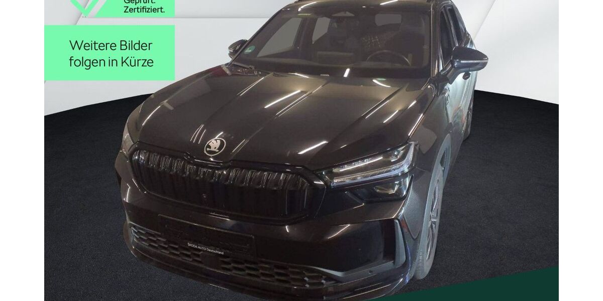 Skoda Kodiaq 19.400 km 47.999 &euro; Mühlheim 63165