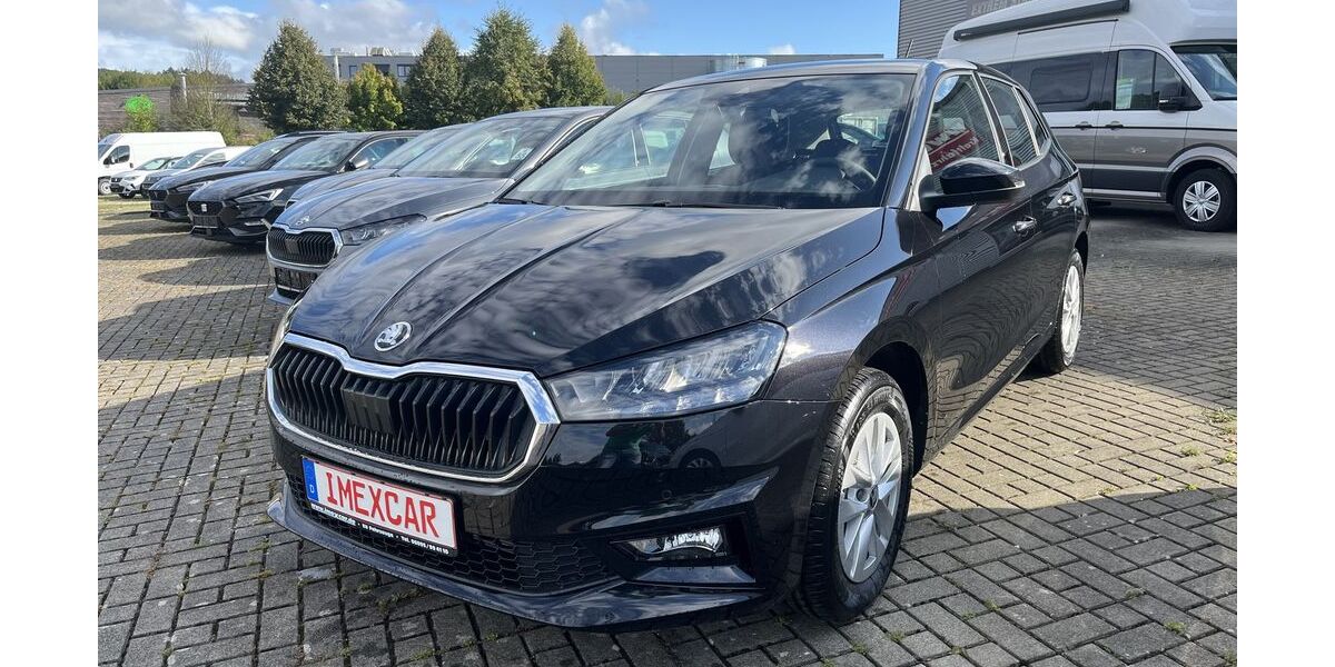 Skoda Fabia 2.500 km 22.990 &euro; Bessenbach 63856