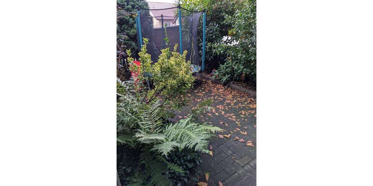 Einfamilienhaus Aschaffenburg Damm - 4 Zimmer, 102 m&sup2;, 285.000&euro; | Angebot:25425600