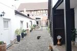 GRÖSSE AUF DEN ZWEITEN BLICK - Mehrfamilienhaus, Wohnhaus Großostheim | Angebot:27229264