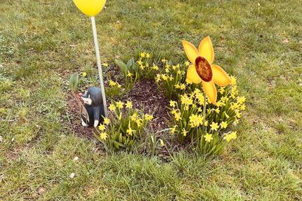 Wohnung Seligenstadt - 4 Zimmer, 140 m&sup2;, 1.600&euro; | Angebot:25440016