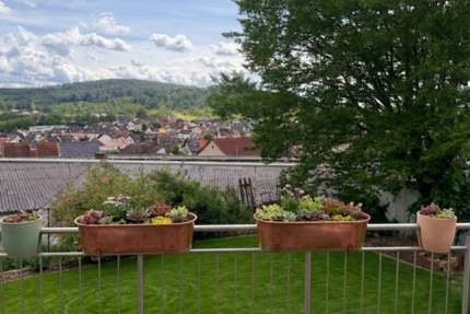 Haus Aschaffenburg Gailbach - 6 Zimmer, 240 m&sup2;, 1.375.000&euro; | Angebot:26940766