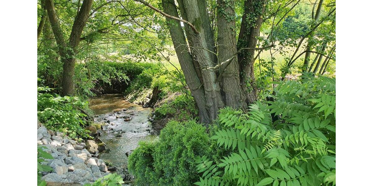 Mehrfamilienhaus, Wohnhaus Bad König - 850.000&euro; | Angebot:26024105